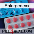 Enlargenexx new14